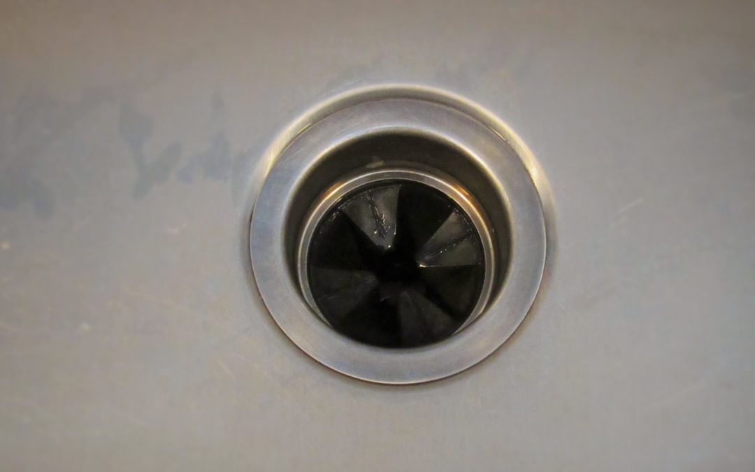 Item that are “Ok”to Put Down Your Garbage Disposal